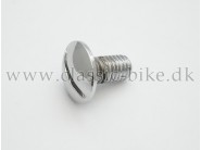 Fixing Screw Chrome Plated  1/4"